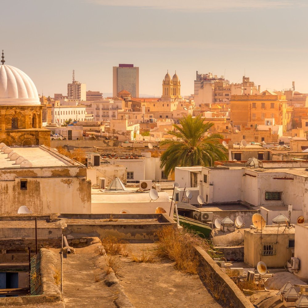 Embark on the Ultimate Road Trip Around Tunis, TN: Routes, Tips & Hidden Gems