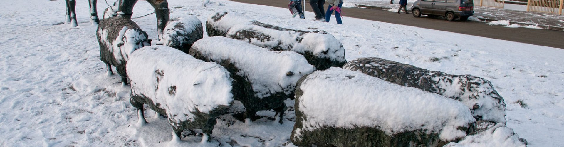 Patagonian landscape near Punta Arenas
