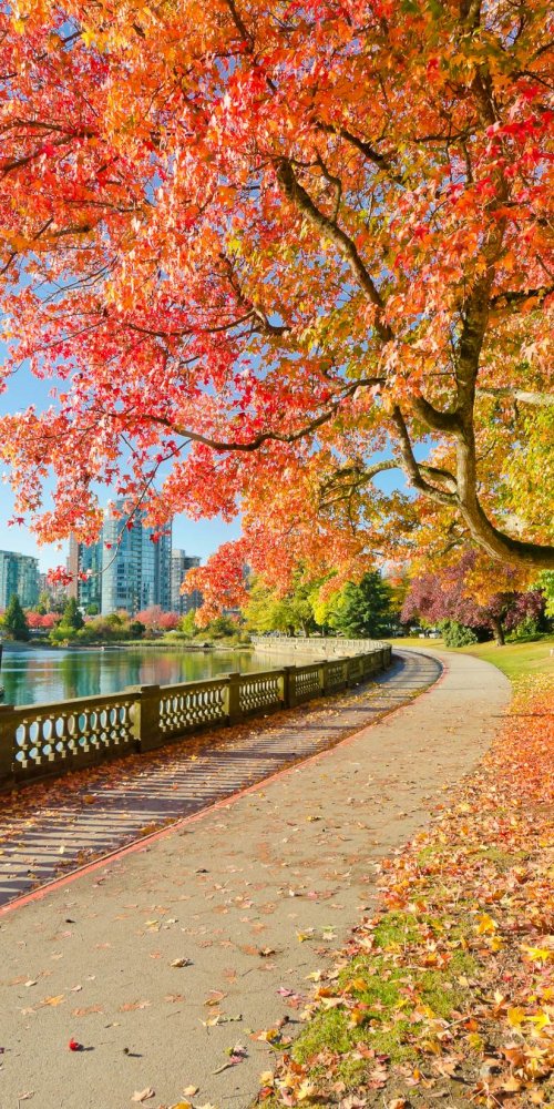 Scenic road near Vancouver