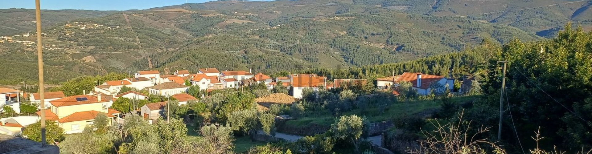 Madeirã, PT