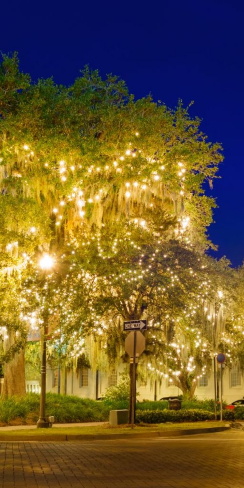 Scenic drive near Tallahassee