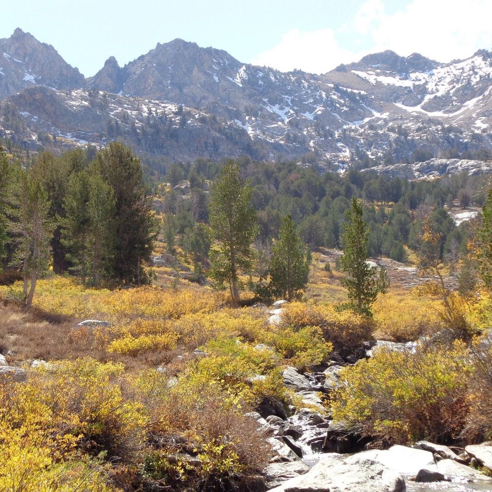 Discover the Ultimate Road Trip Around Elko, NV, US: Routes, Tips & Hidden Gems