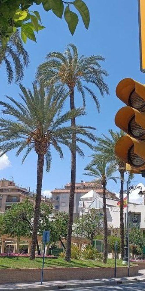 Scenic stop near Molina de Segura