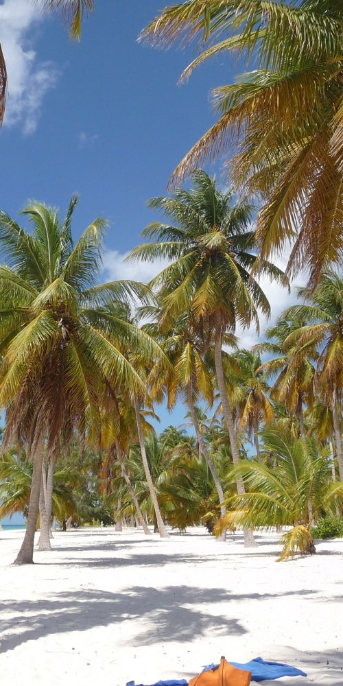 Scenic Drive near Bayahibe, DO