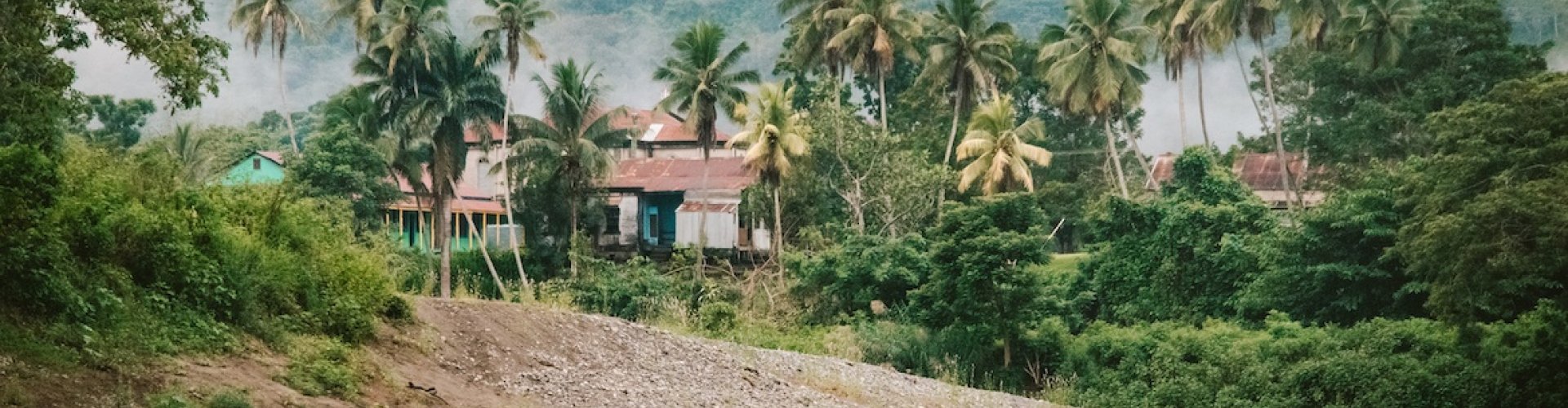 Road trip view near Sigatoka, FJ