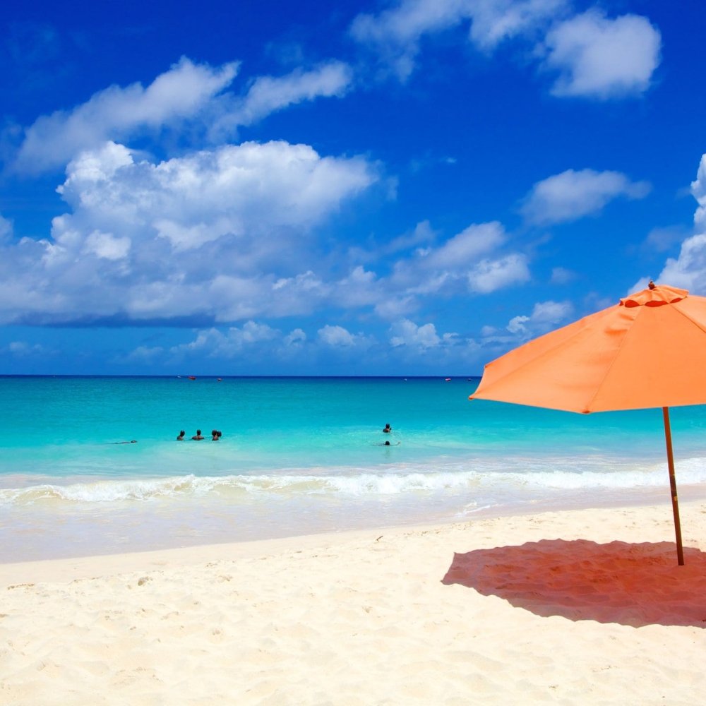 Ultimate Guide to Planning a Road Trip Around Barbados, BB: Routes, Tips & Hidden Gems