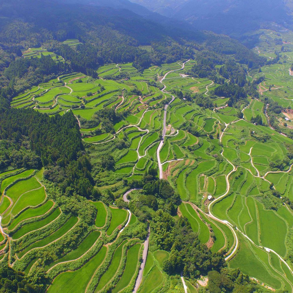 The Ultimate Road Trip Around Kochi, JP: Routes, Tips & Hidden Gems