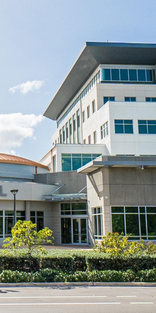 Driving tips and scenic stops near Coral Springs